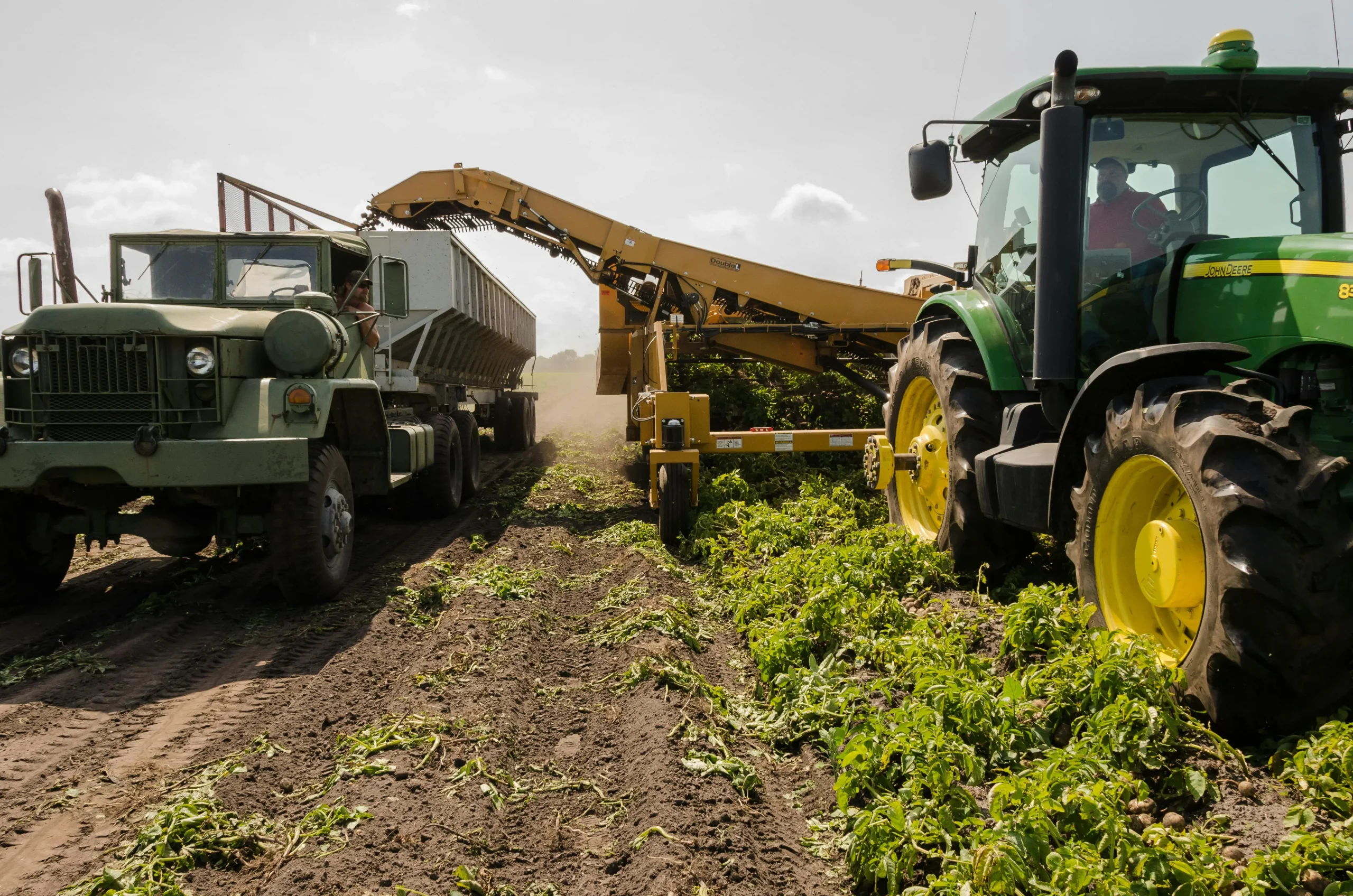 agriculture machine harvest